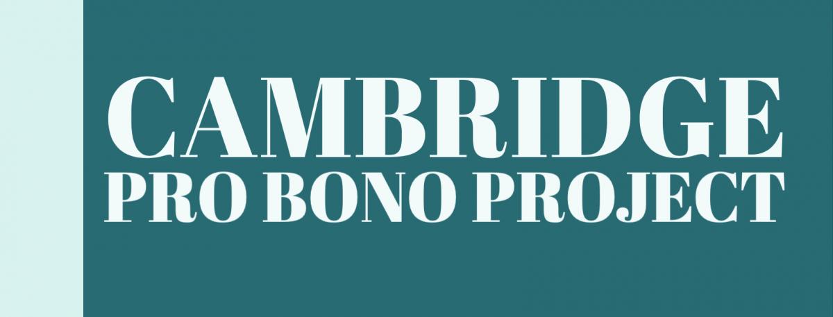 Pro Bono Project