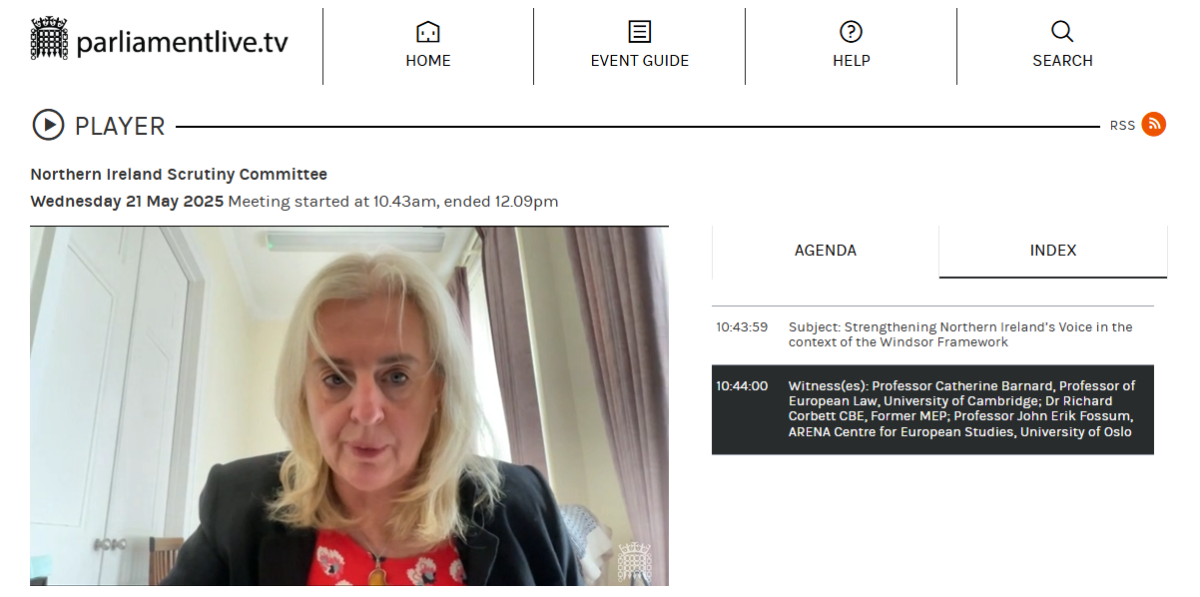 Catherine Barnard Northern Ireland Scrutiny Committee