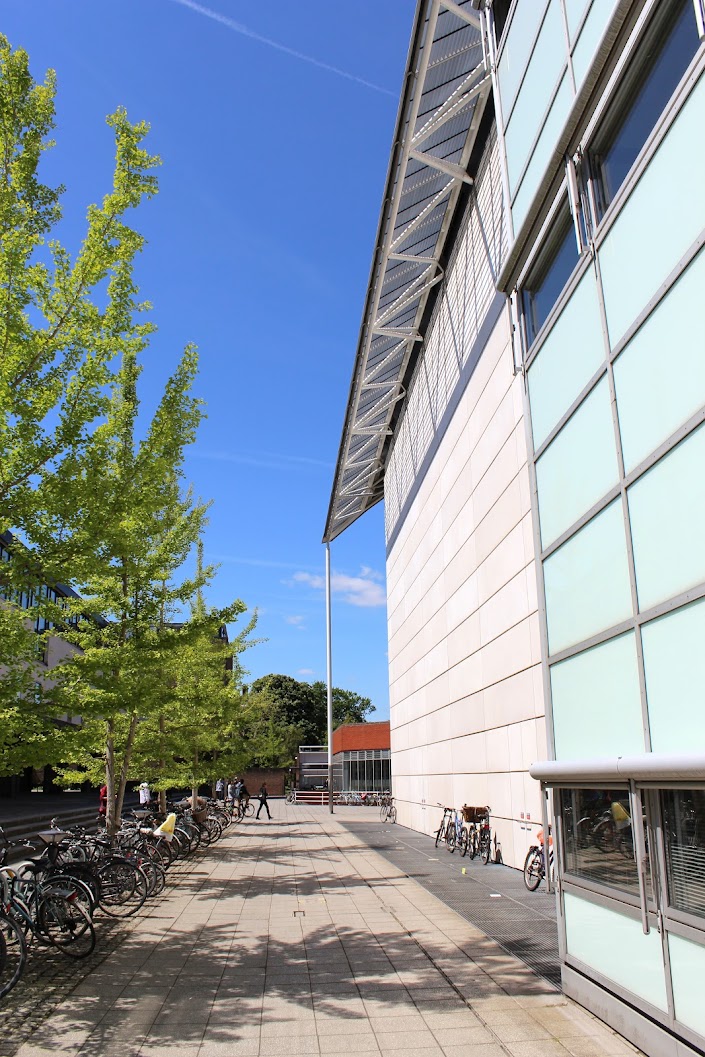 Faculty of Law