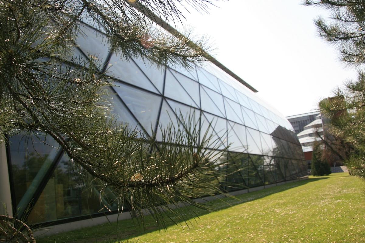 The Faculty of Law