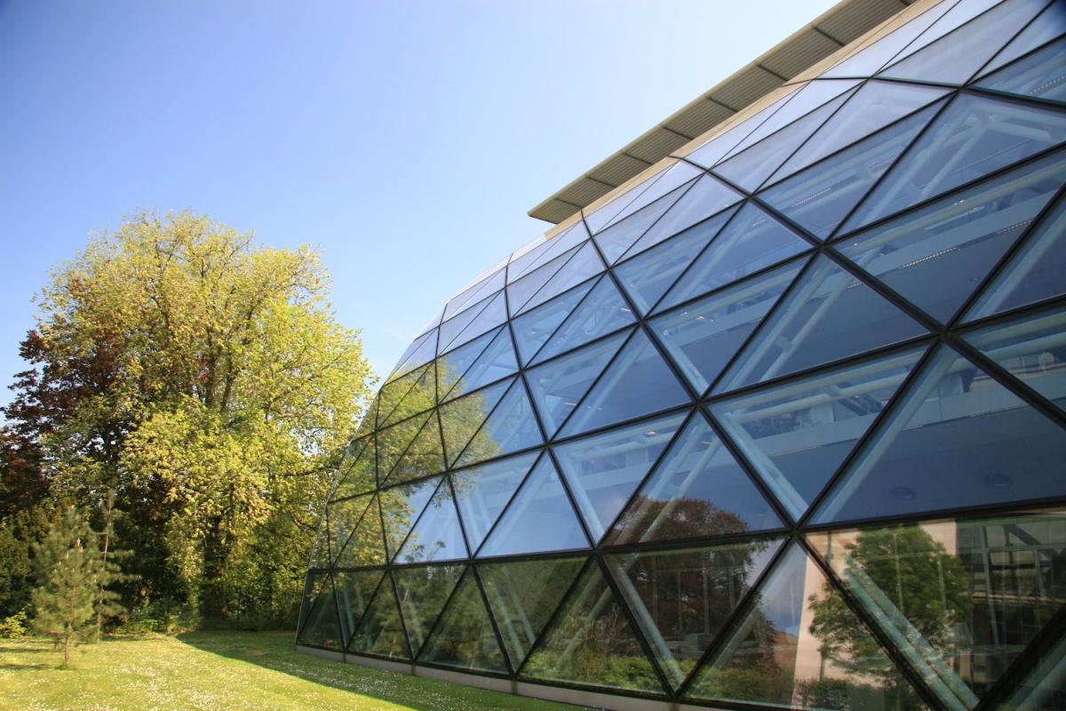 The Faculty of Law