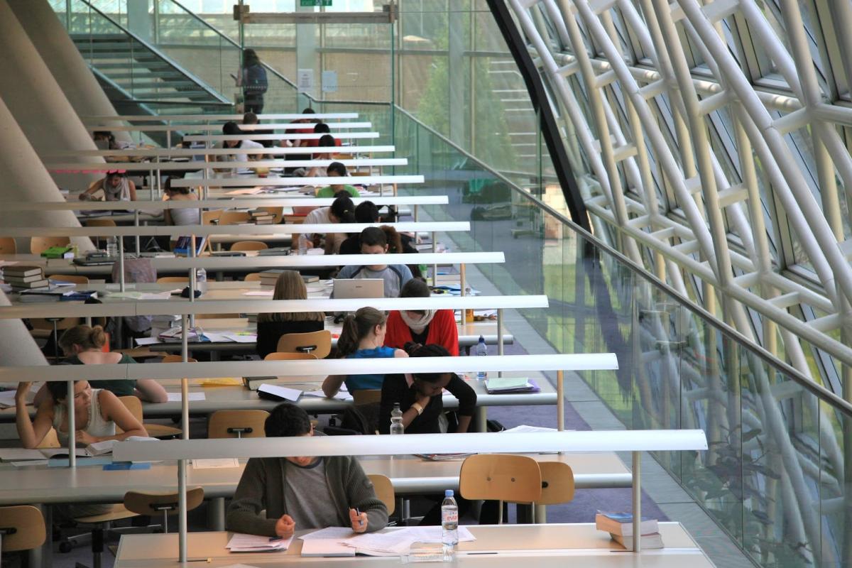 The Faculty of Law