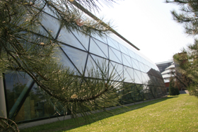 The Faculty of Law
