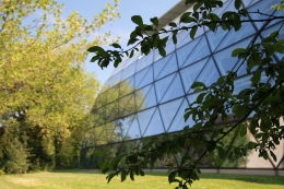 Faculty of Law, University of Cambridge
