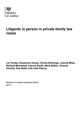 litigants in person in private family law cases