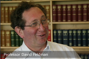 Professor David Feldman